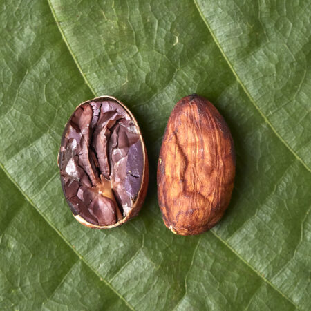Cocoa Beans