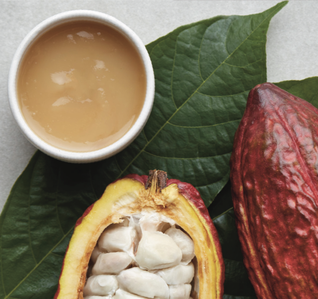 Cocoa Beans