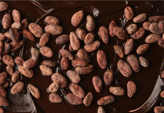 cocoa beans in chocolate